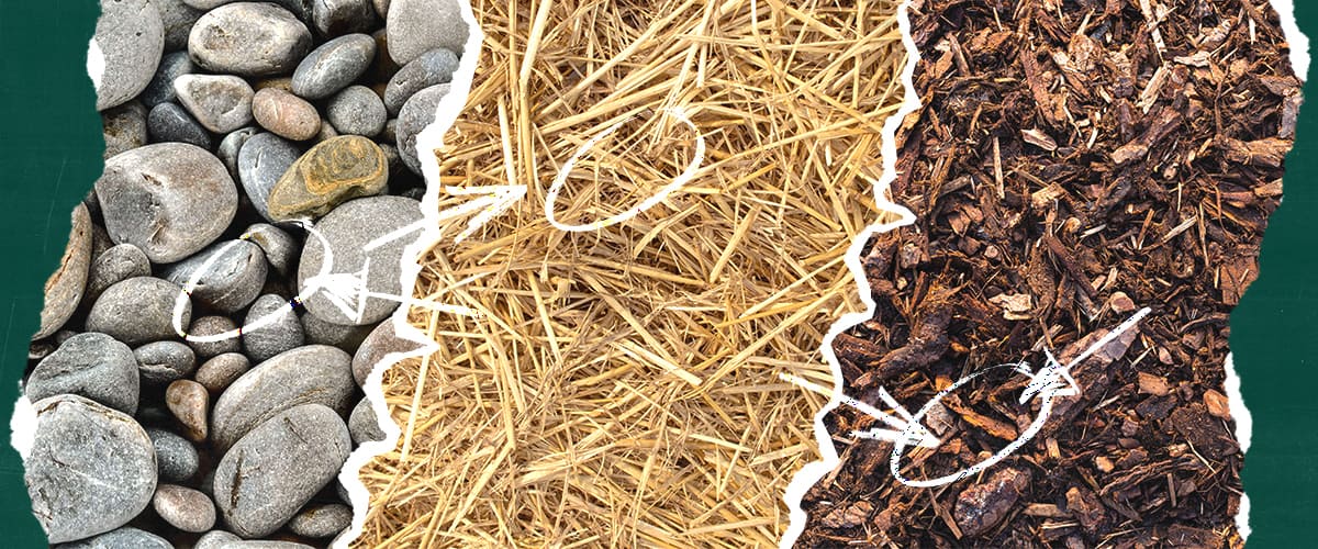 Types of Mulching Materials Image showing three mulching materials: rocks on the left, straw in the center, and wood chips on the right, with a torn paper effect and green border.