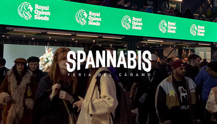 Spannabis Spannabis
