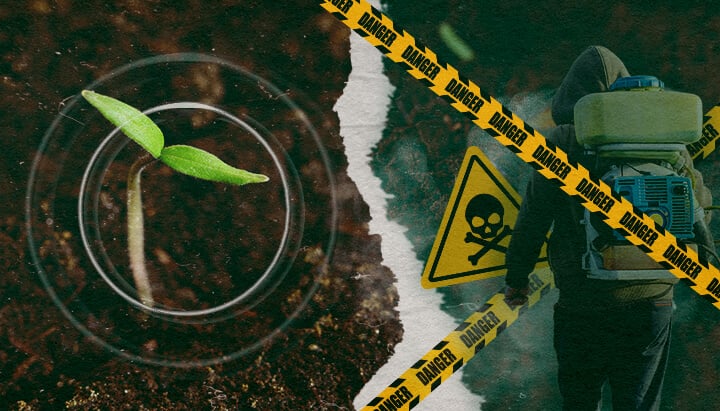The contrast between healthy plant growth and the dangers of synthetic fungicides in modern agriculture, highlighting the need for organic alternatives.