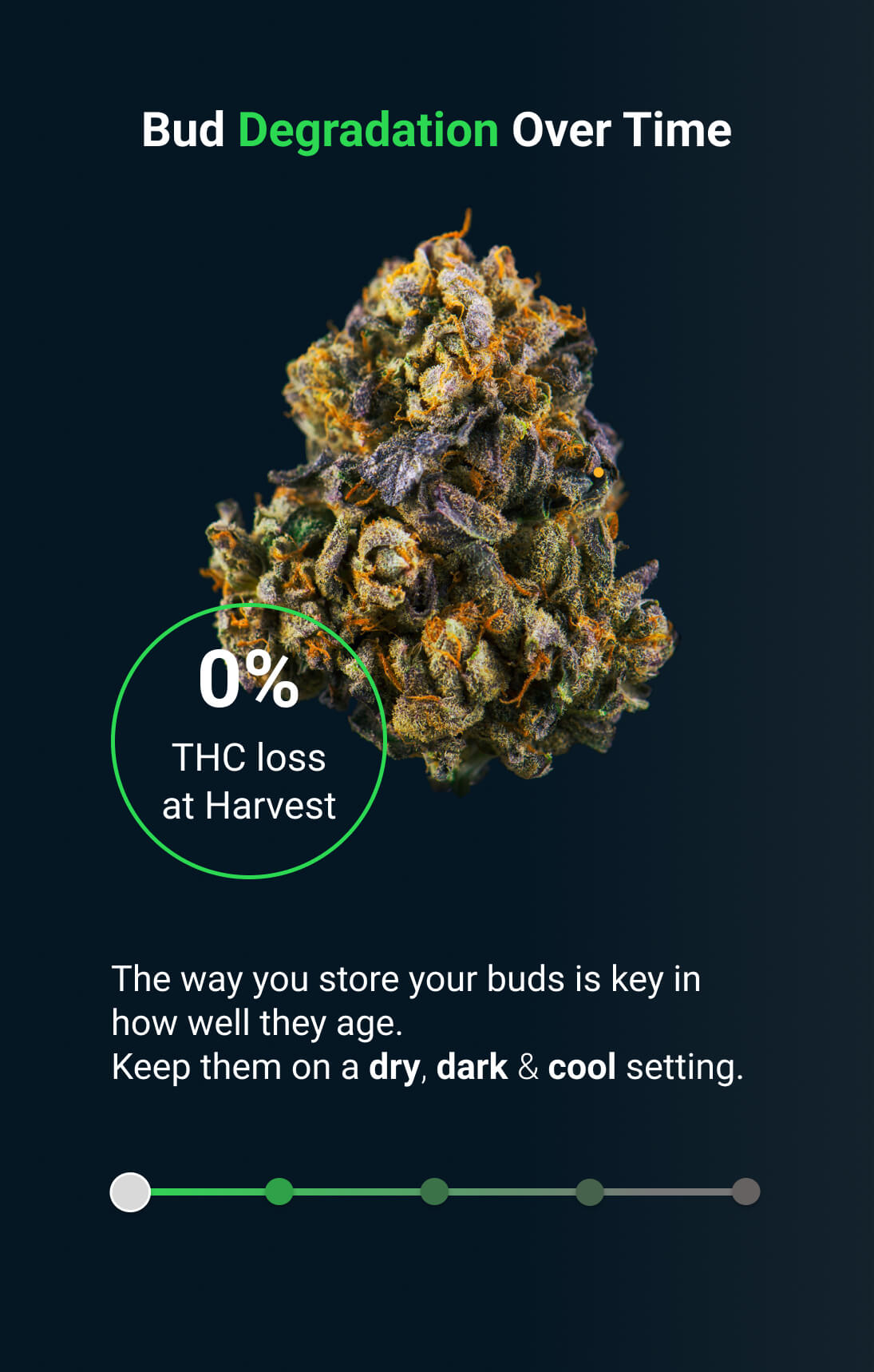 Moldy Weed vs Trichomes: An In-Depth Guide to Cannabis Quality