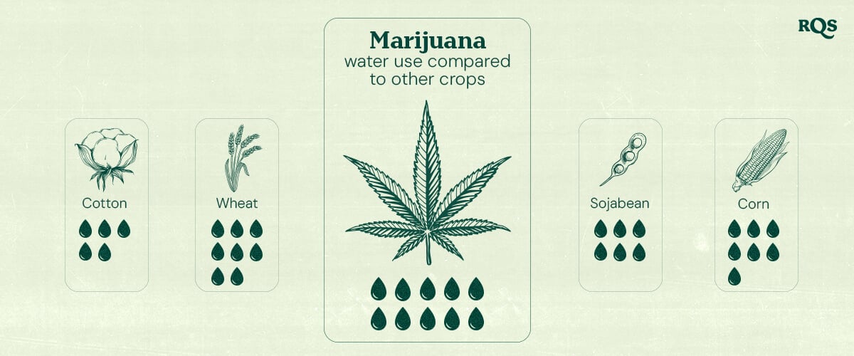 Marijuana Water Use Compared to Other Crops Infographic comparing marijuana's water use to other crops: cotton (6 droplets), wheat (8 droplets), marijuana (10 droplets), soybean (7 droplets), and corn (7 droplets). Features a central marijuana leaf and the