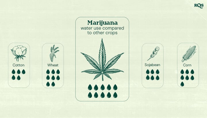 Marijuana Water Use Compared to Other Crops Infographic comparing marijuana's water use to other crops: cotton (6 droplets), wheat (8 droplets), marijuana (10 droplets), soybean (7 droplets), and corn (7 droplets). Features a central marijuana leaf and the