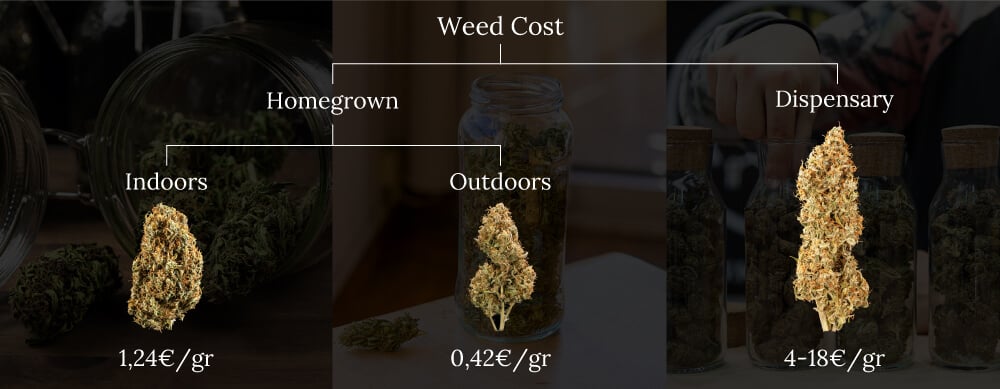 Weed cost homegrown