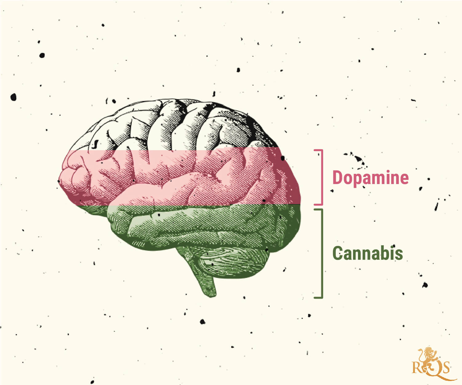 Possible causes of marijuana use disorder