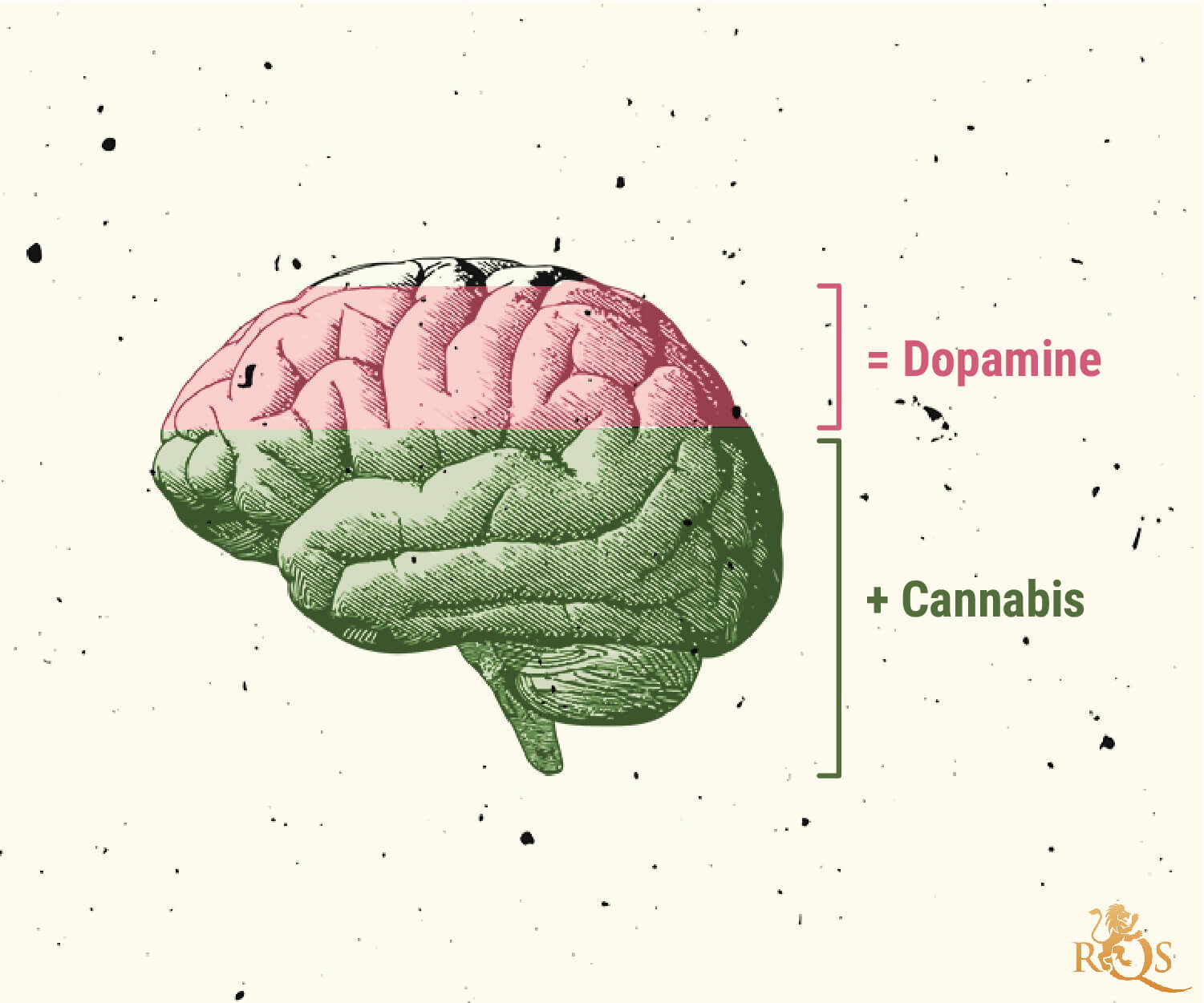 Possible causes of marijuana use disorder