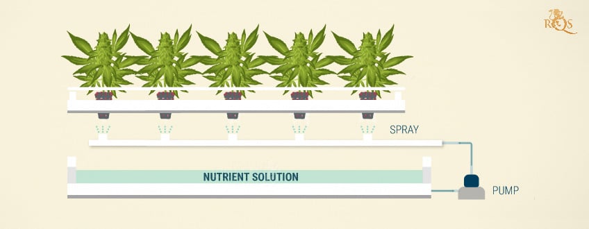 Aeroponic Continuous Flow Setups