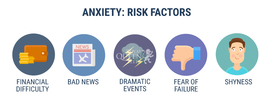 Anxiety Risk Factors 