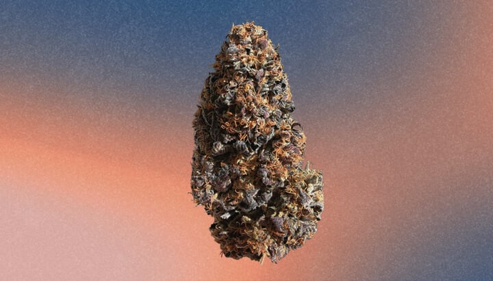 Wedding Cake Cannabis Strain Wedding Cake Cannabis Strain