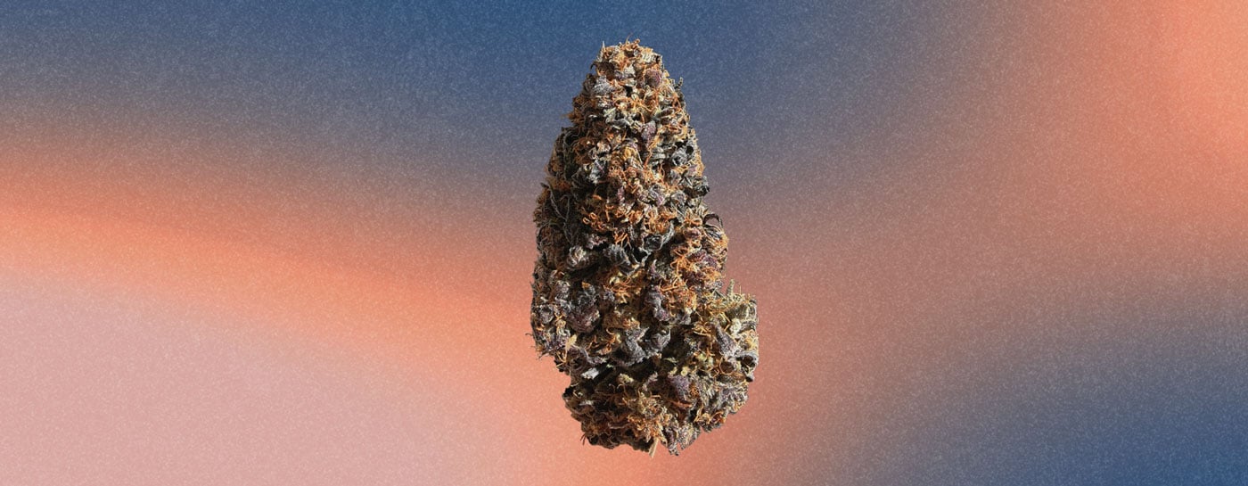 Wedding Cake Cannabis Strain Wedding Cake Cannabis Strain