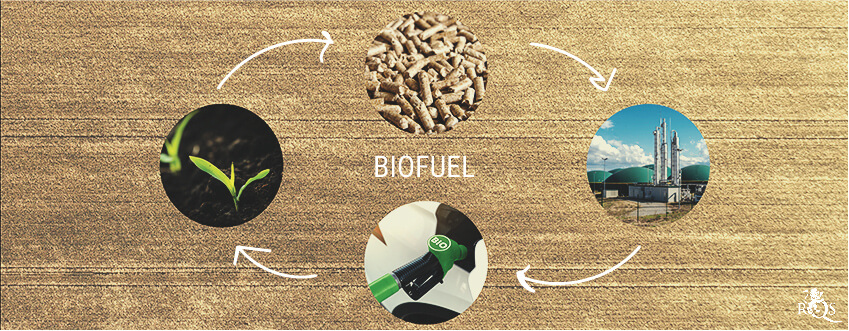 What Exactly Are Biofuels?