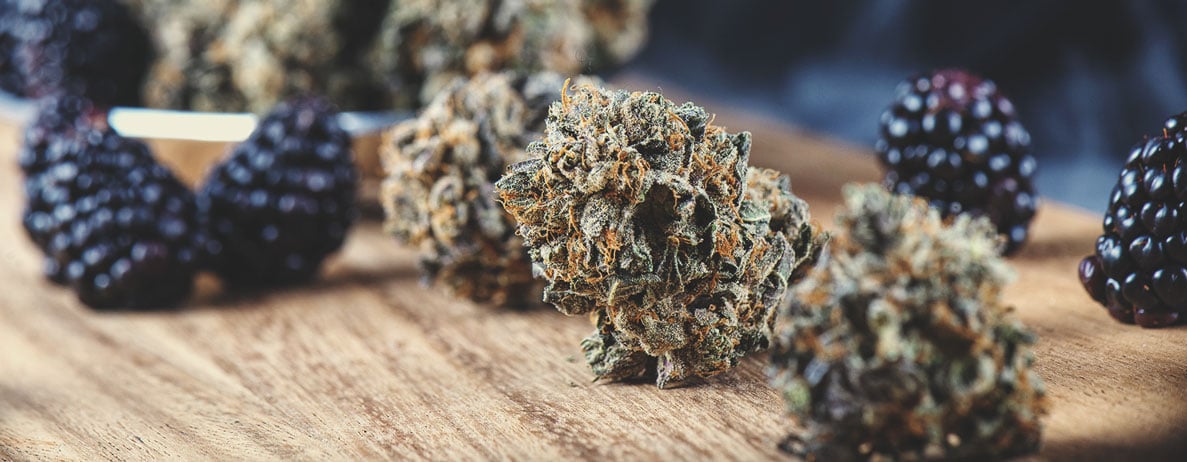 Taste and Effects of Cannabis Strains: A Guide Taste and Effects of Cannabis Strains: A Guide