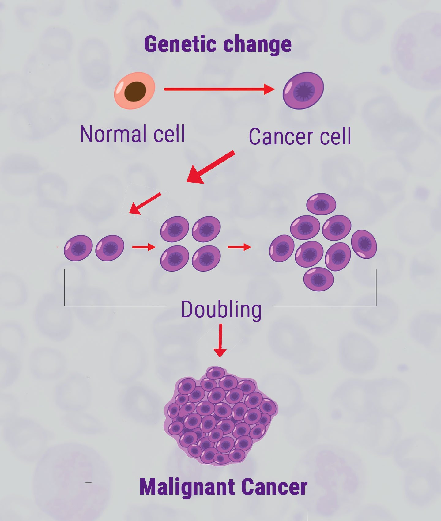 Does Smoking Cannabis Cause Cancer?