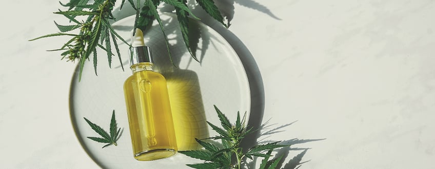 What should we know about the different types of CBD products?