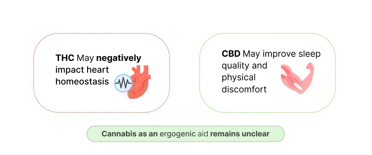Infographic showing potential effects of THC and CBD on athletic performance, heart homeostasis, sleep quality, and recovery