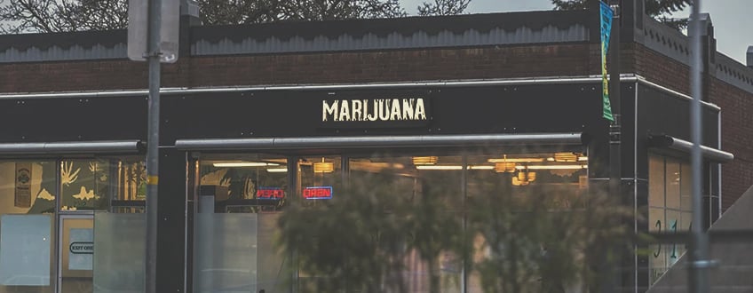 public education marijuana taxes dispensary