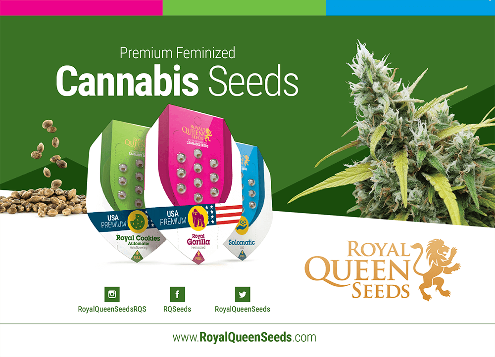 Cannabis Seed Catalog