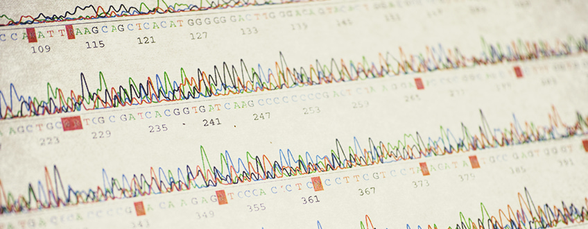 Cannabis Sequencing: A Boon for Breeders