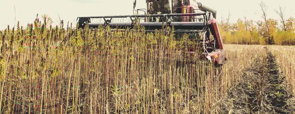 Dry Farming: An Example of Regenerative Agriculture in Action Dry Farming: An Example of Regenerative Agriculture in Action