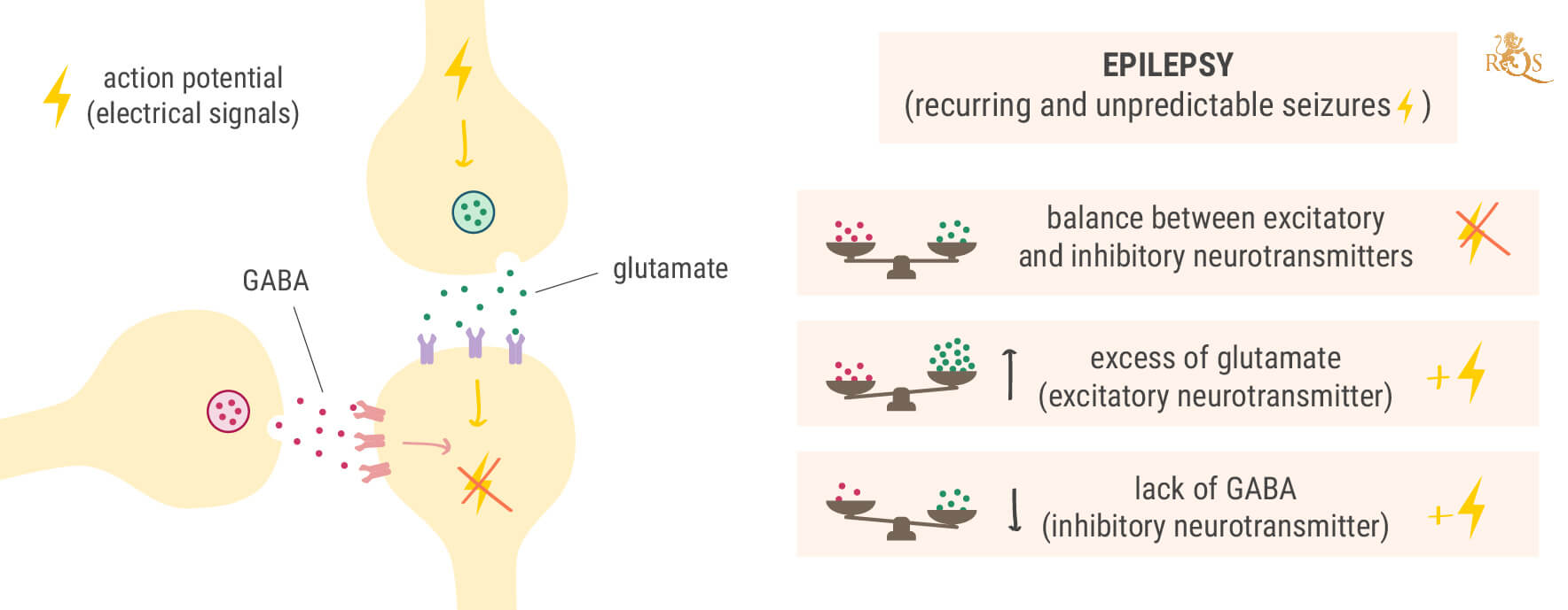 Why Does Epilepsy Occur? Why Does Epilepsy Occur?