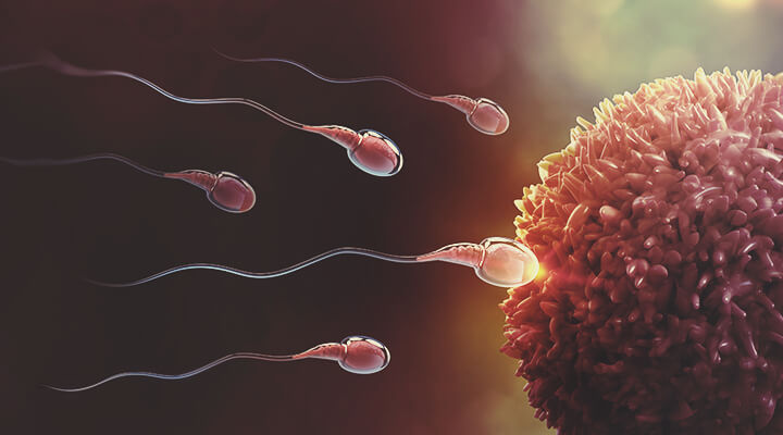 The Link Between Cannabis and Fertility The Link Between Cannabis and Fertility