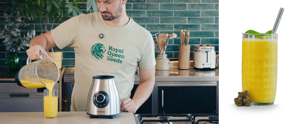 Step 4–5: Blend the cannabis smoothie until creamy and serve immediately Blending a mango cannabis smoothie and pouring the finished drink into a glass, ready to serve with a smooth, creamy texture.