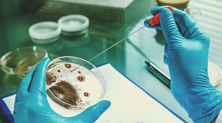 How Germs Spread How Germs Spread