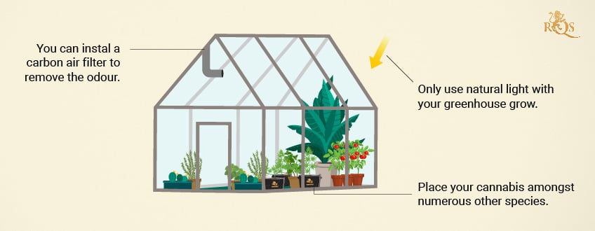 Hide your plants in a greenhouse