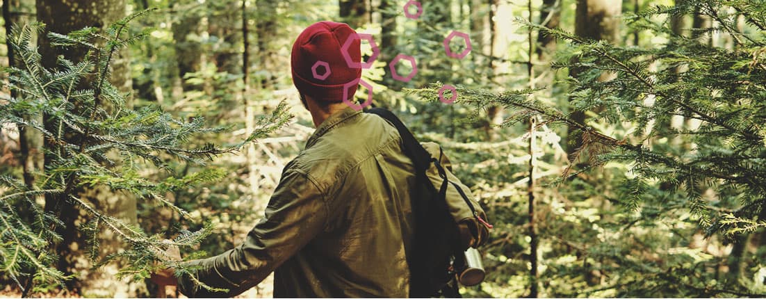 How Can You Get High Naturally? How Can You Get High Naturally?