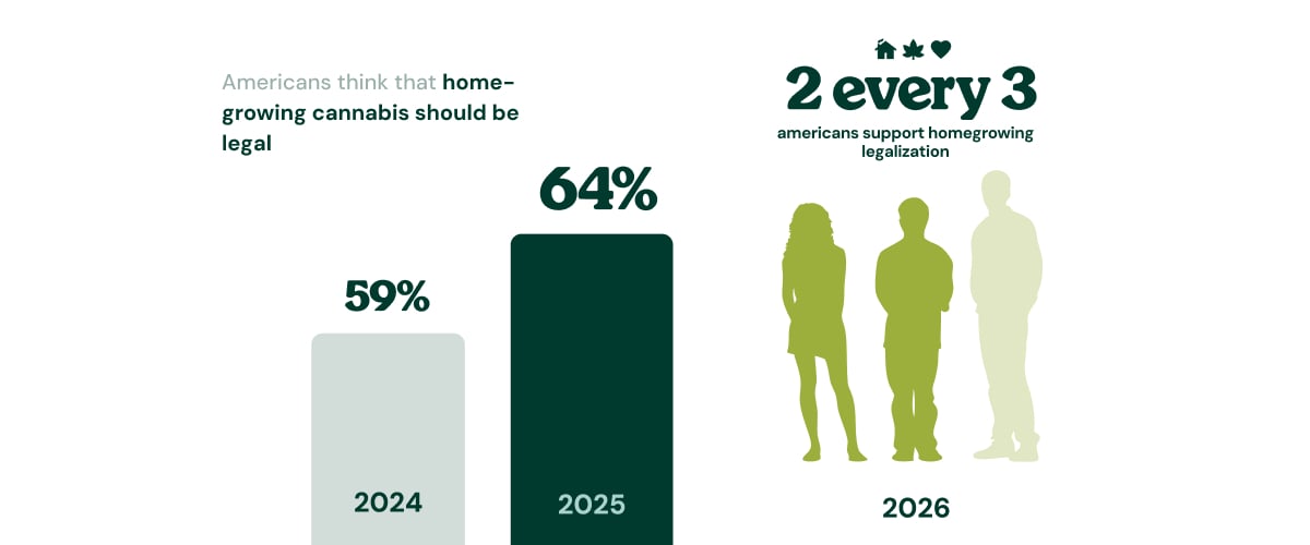 Infographic showing that 76% of cannabis users prefer the high of cannabis over the buzz of alcohol.