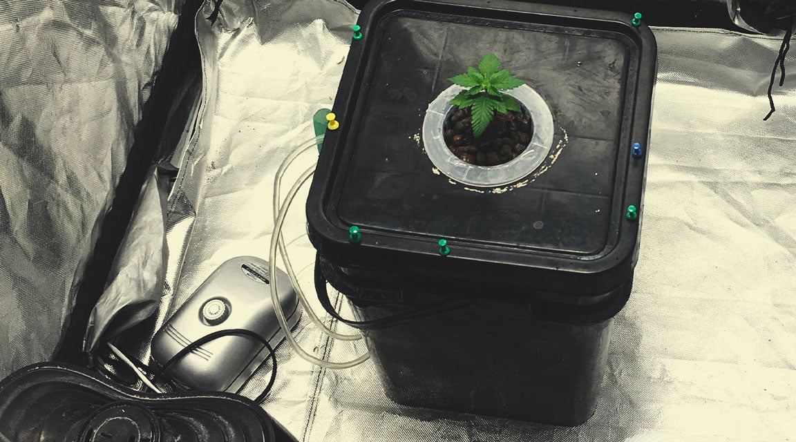 Aeration for your dwc system using an air pump
