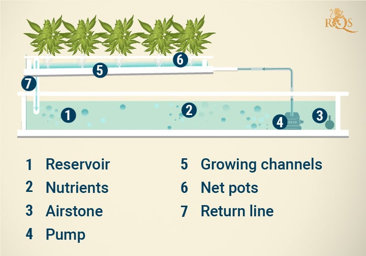 Nutrient Film Technique (NFT) Hydroponic System