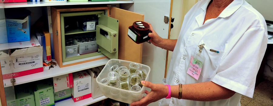Norml National Organization Reform Marijuana Laws