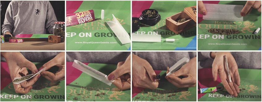 ROLL BACKWARDS FOR SLOWER-BURNING JOINTS ROLL BACKWARDS FOR SLOWER-BURNING JOINTS