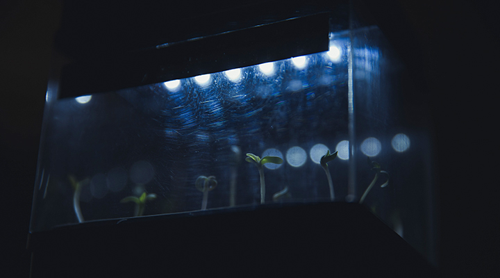 Lighting Lighting