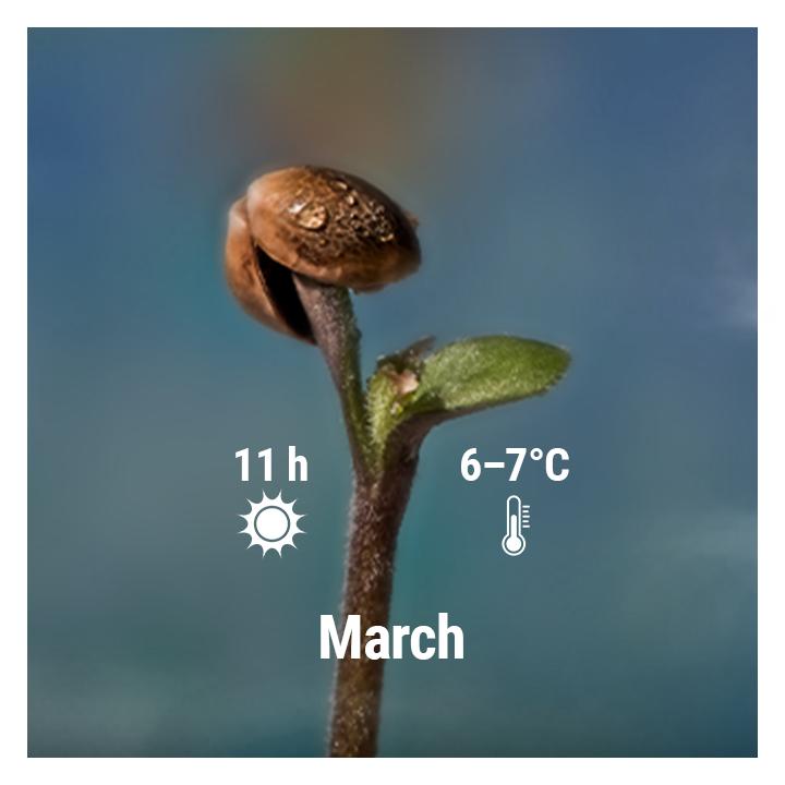 MARCH