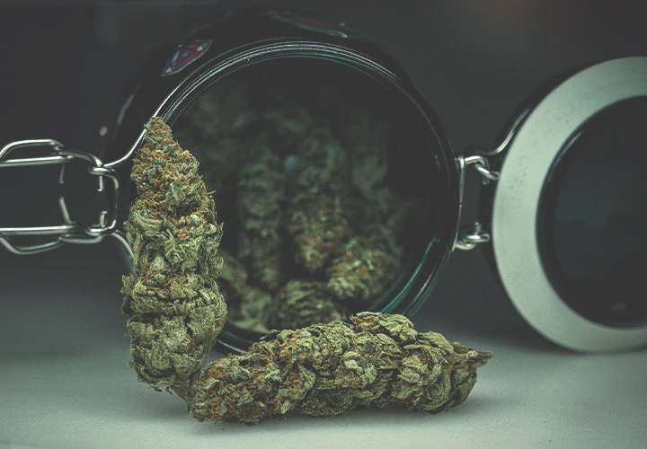 Buds Buds