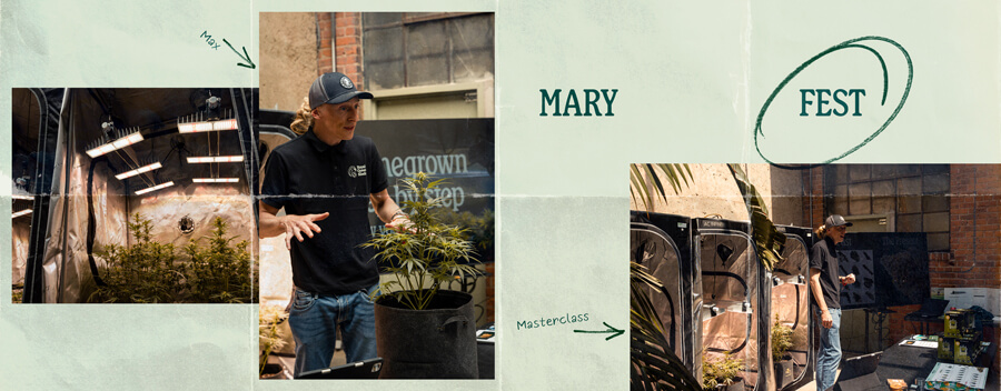 Mary Fest Mary Fest