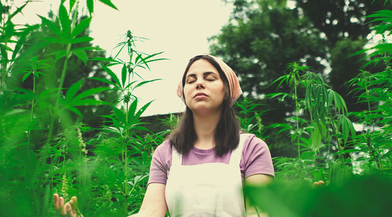 Can you share a practice with us that we could use to meditate with cannabis?
