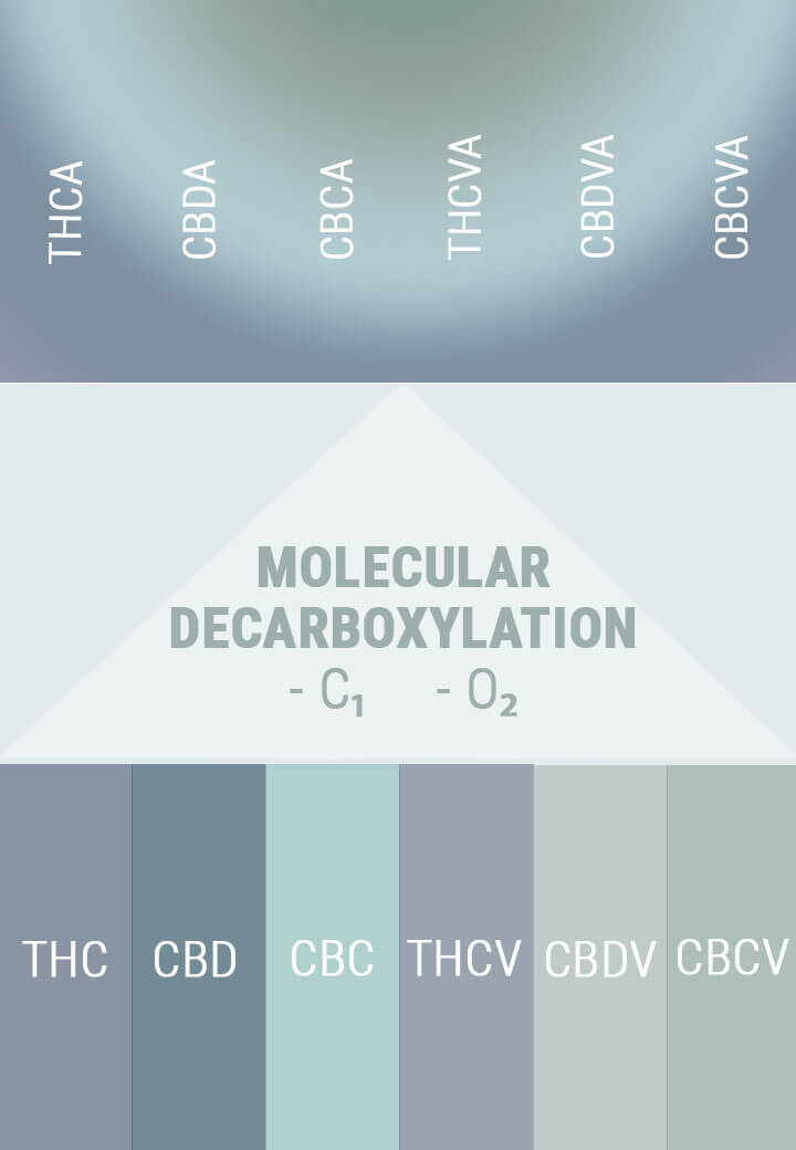 DECARBOXYLATION CHANGES ACIDS TO ACTIVES