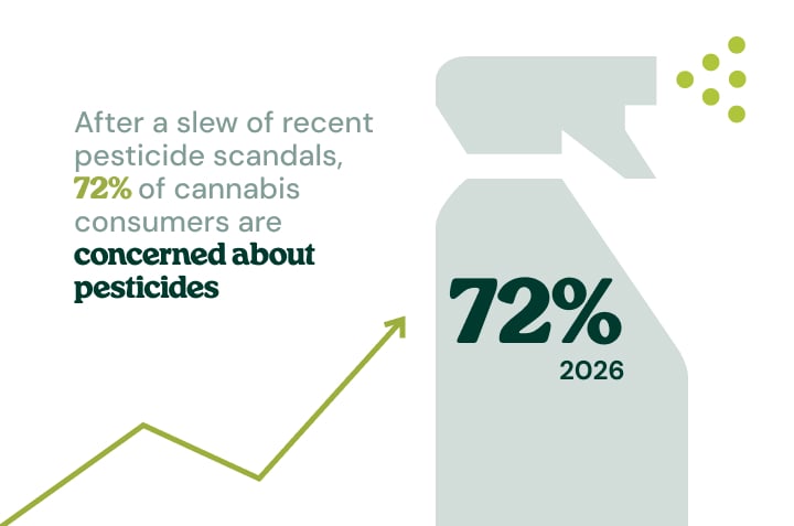 Infographic showing pesticide concerns in store-bought cannabis rising.
