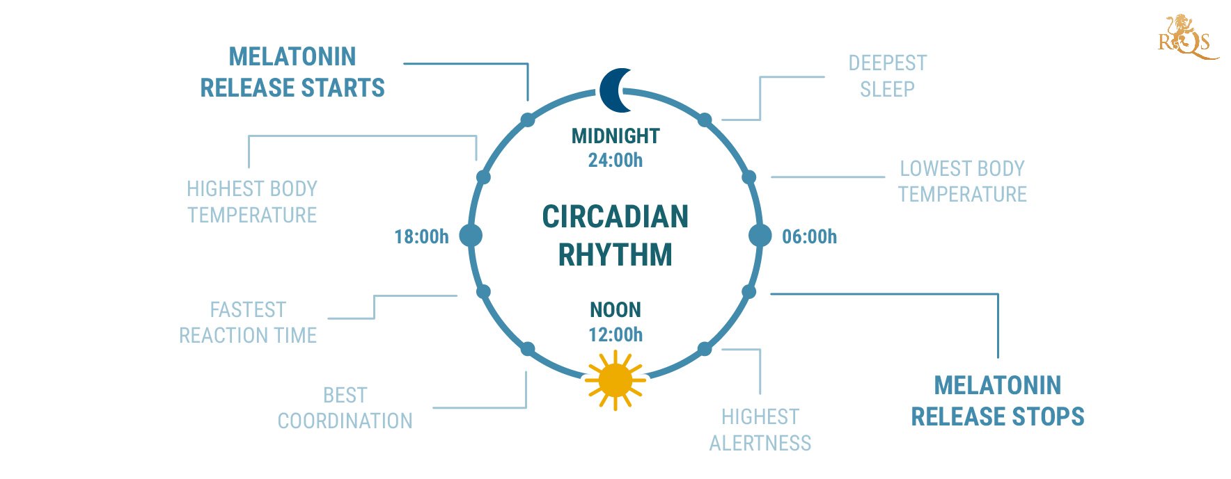 What Is Circadian Rhythm?