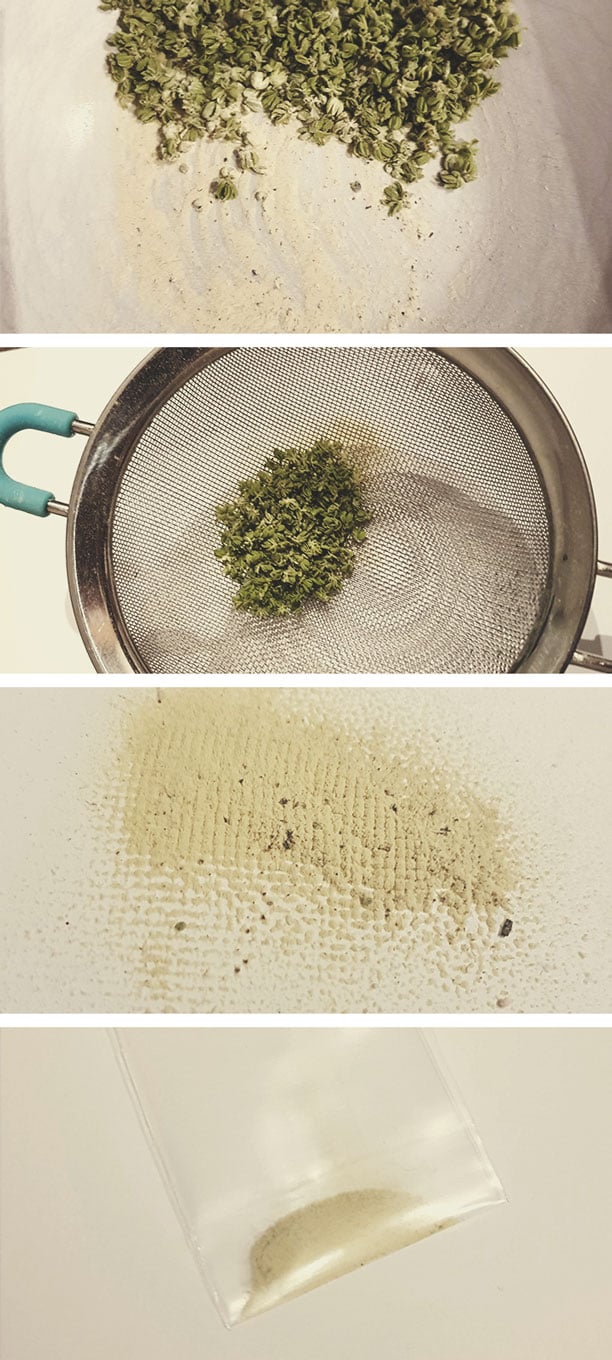 How to Harvest Cannabis Pollen