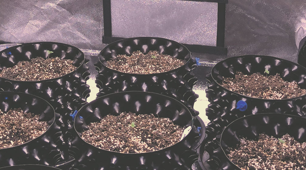 Pot Type Pot Type