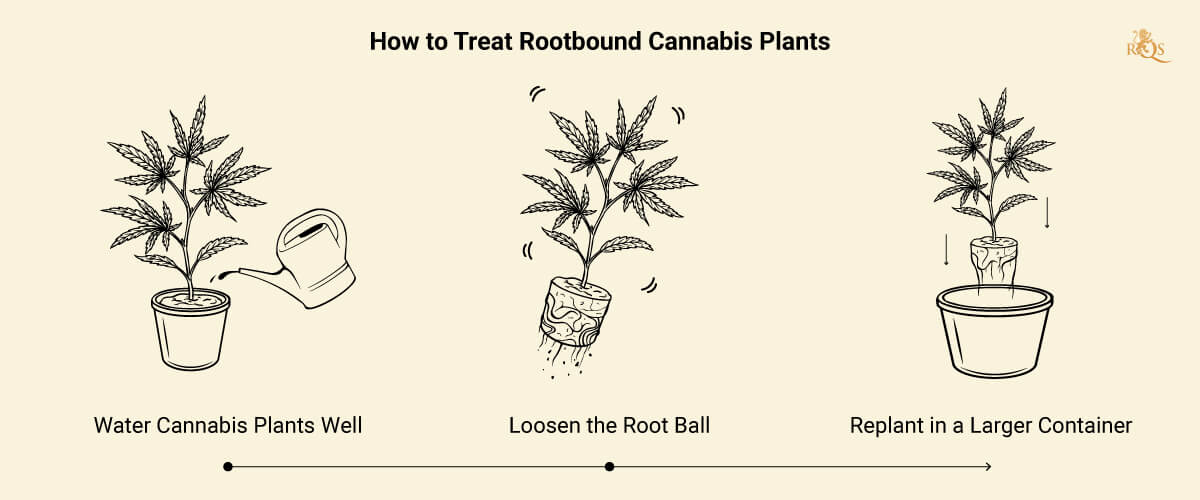 Rootbound Solution