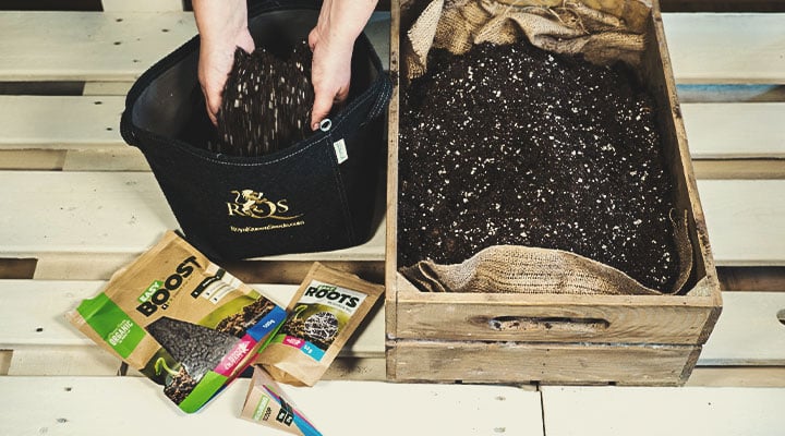 Growing Naturally: Is Organic Weed Better? Growing Naturally: Is Organic Weed Better?
