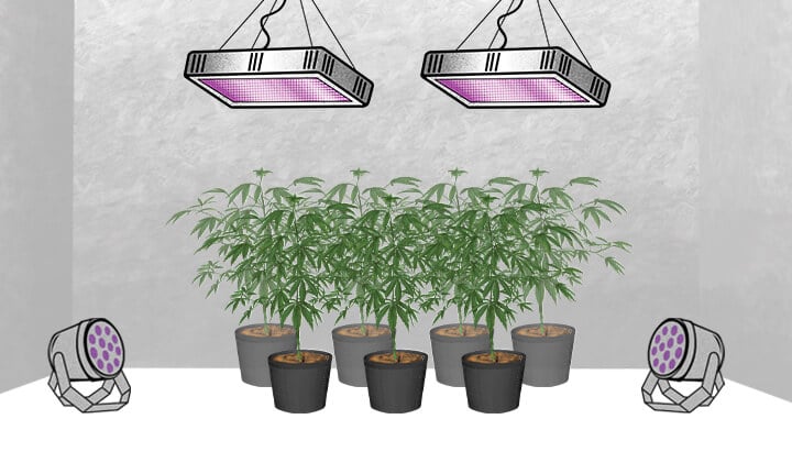 Amsterdam grow light hotsell