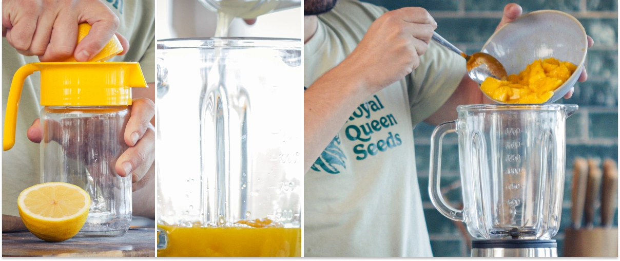 Pouring orange juice, water, and lemon juice into a blender jug with chopped mango to prepare a smoothie.