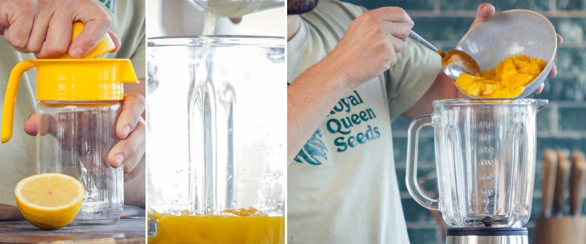 Step 2: Add the liquids to the blender for a smooth cannabis smoothie Pouring orange juice, water, and lemon juice into a blender jug with chopped mango to prepare a smoothie.