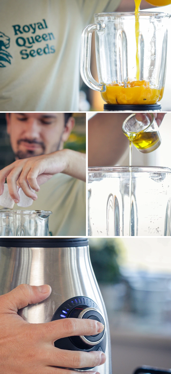 Adding chopped mango, mint, ice cubes, cannabis MCT oil, and lecithin into a blender jug before blending.