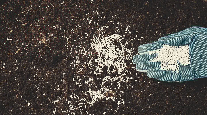 Disadvantages of Synthetic Nutrients Disadvantages of Synthetic Nutrients